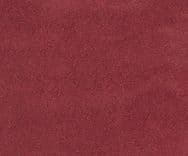 Zani 0009 Red