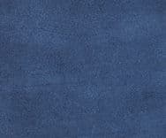 Zani 0015 Blue