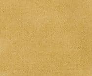 Zani 0020 Yellow