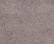 Zani 0561 Tortora