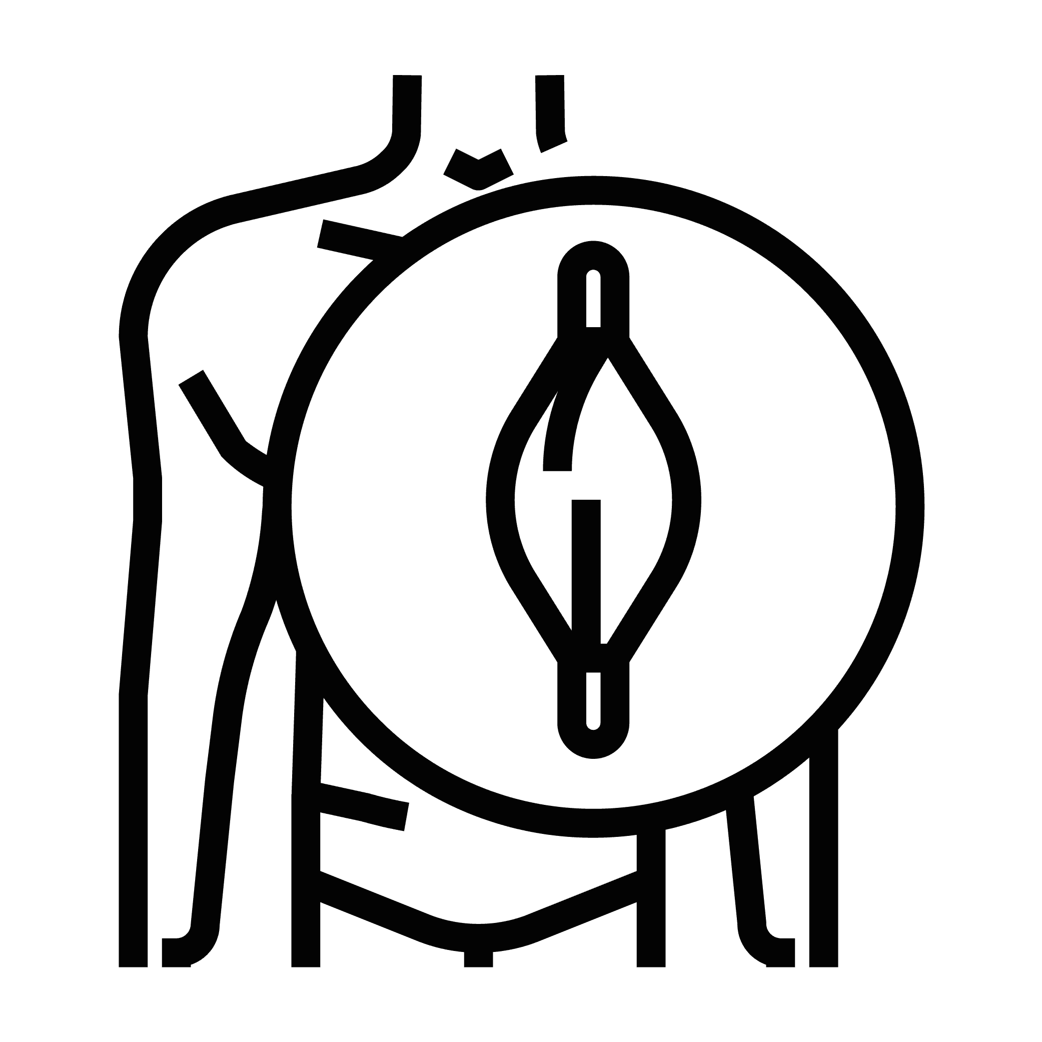 Favorisce la distensione muscolare